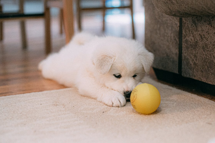 ball